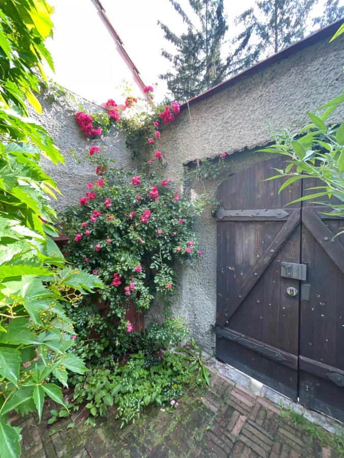 Ferienwohnung Decadent Art Club Český Krumlov Exterior foto